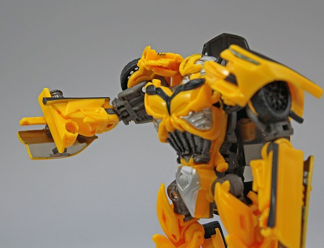 TLK01_BUMBLEBEE_17.jpg